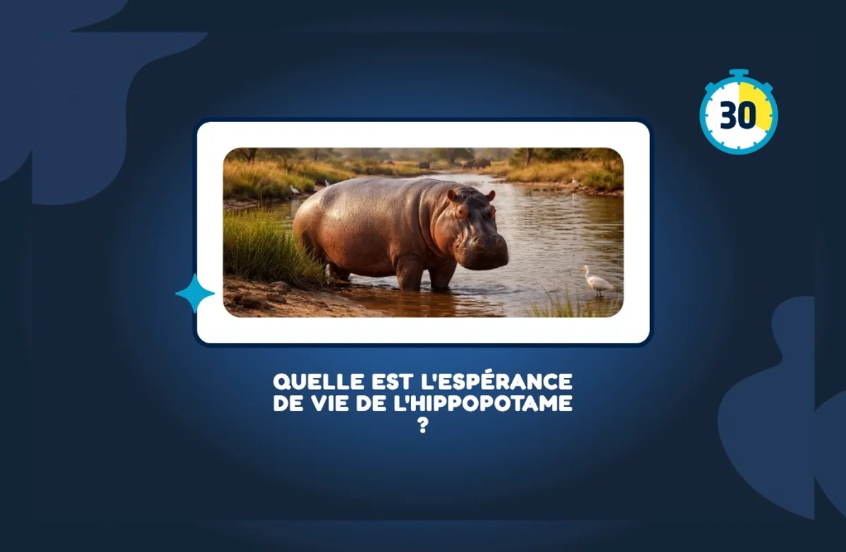 Écran principal : la question de quiz et son minuteur, visibles par toute la salle
